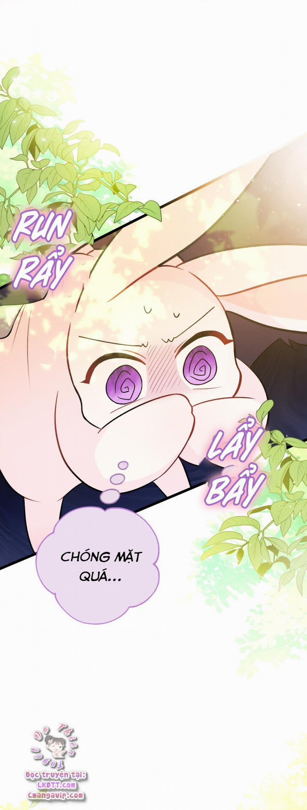 Mối Quan Hệ Cộng Sinh Giữa Báo Đen Và Thỏ Trắng 28 trang 5