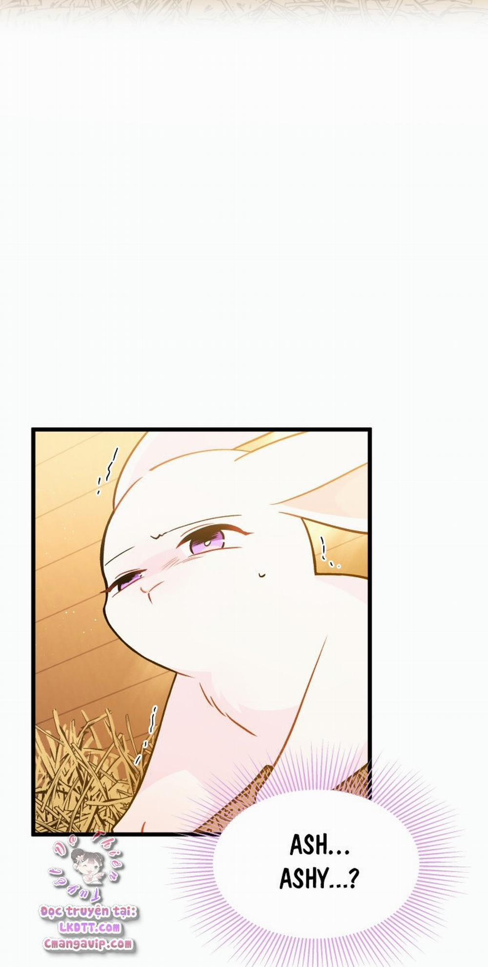 Mối Quan Hệ Cộng Sinh Giữa Báo Đen Và Thỏ Trắng 28 trang 58