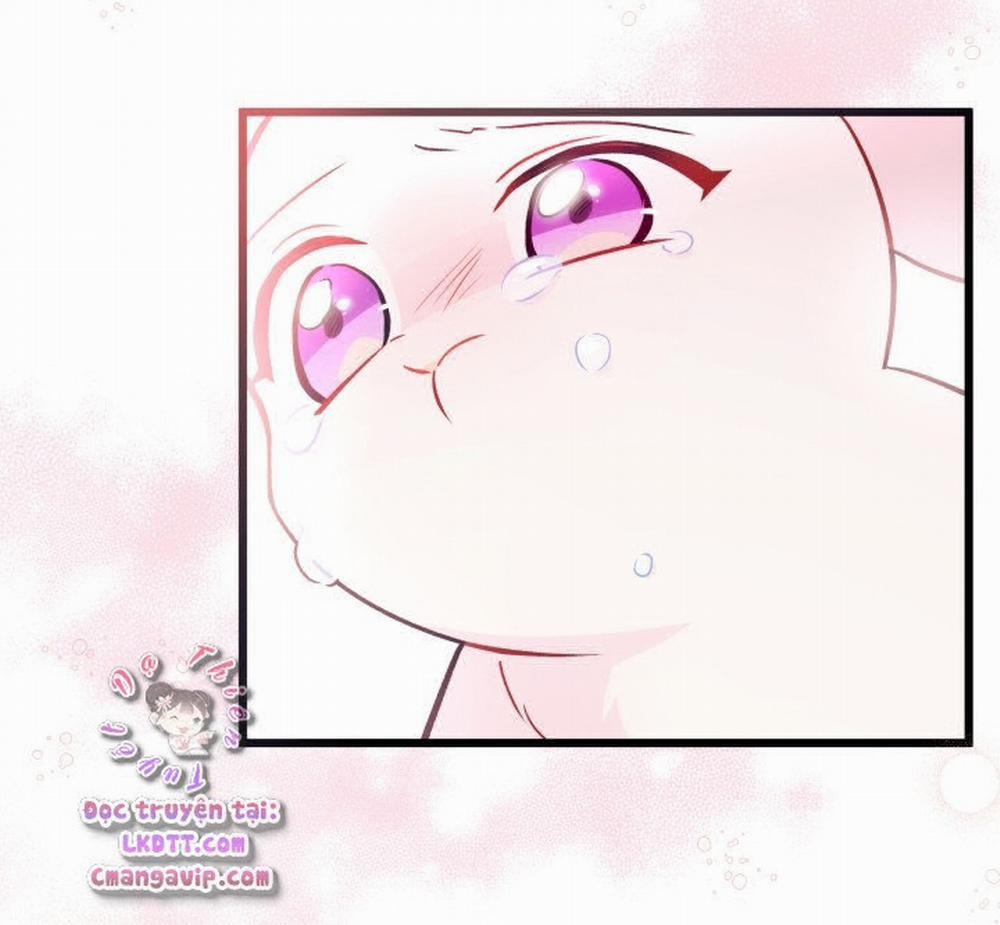 Mối Quan Hệ Cộng Sinh Giữa Báo Đen Và Thỏ Trắng 28 trang 62