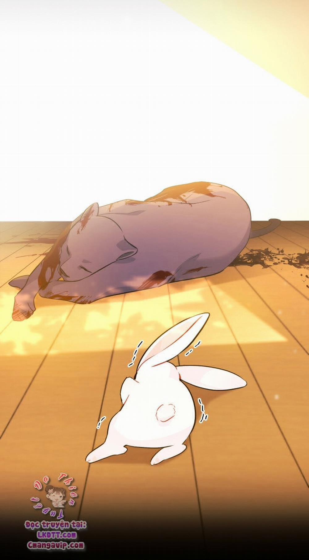 Mối Quan Hệ Cộng Sinh Giữa Báo Đen Và Thỏ Trắng 28 trang 65