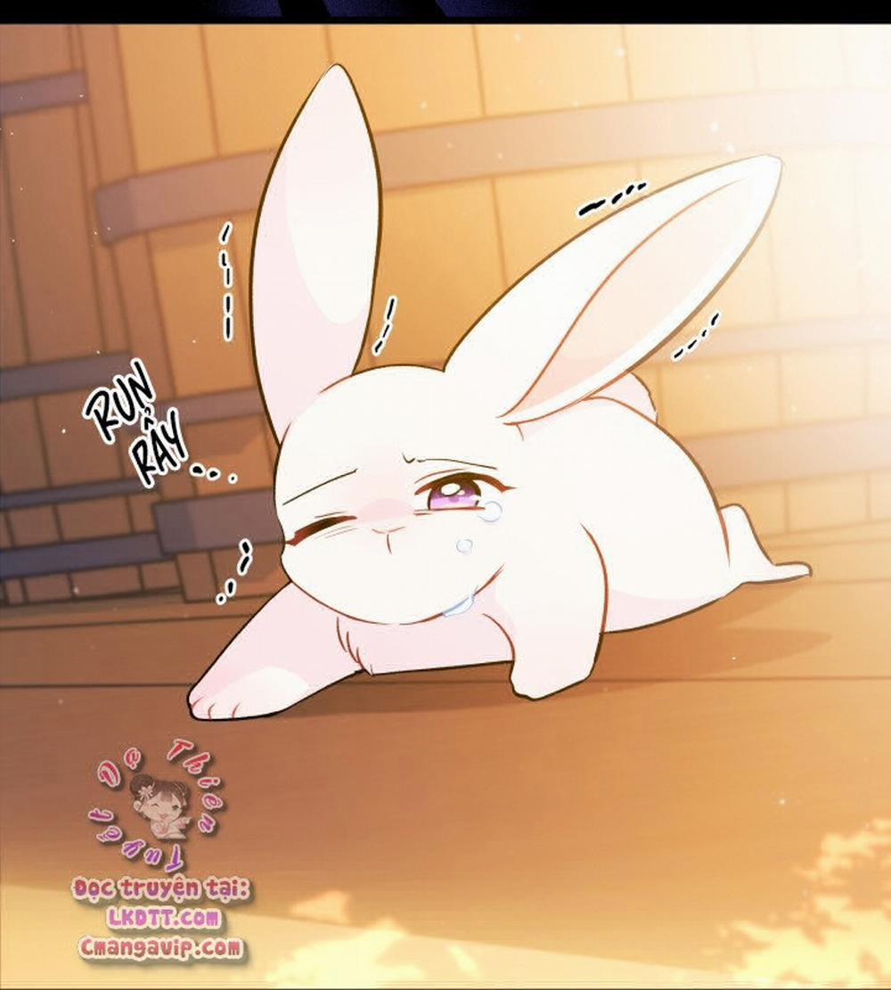 Mối Quan Hệ Cộng Sinh Giữa Báo Đen Và Thỏ Trắng 28 trang 67