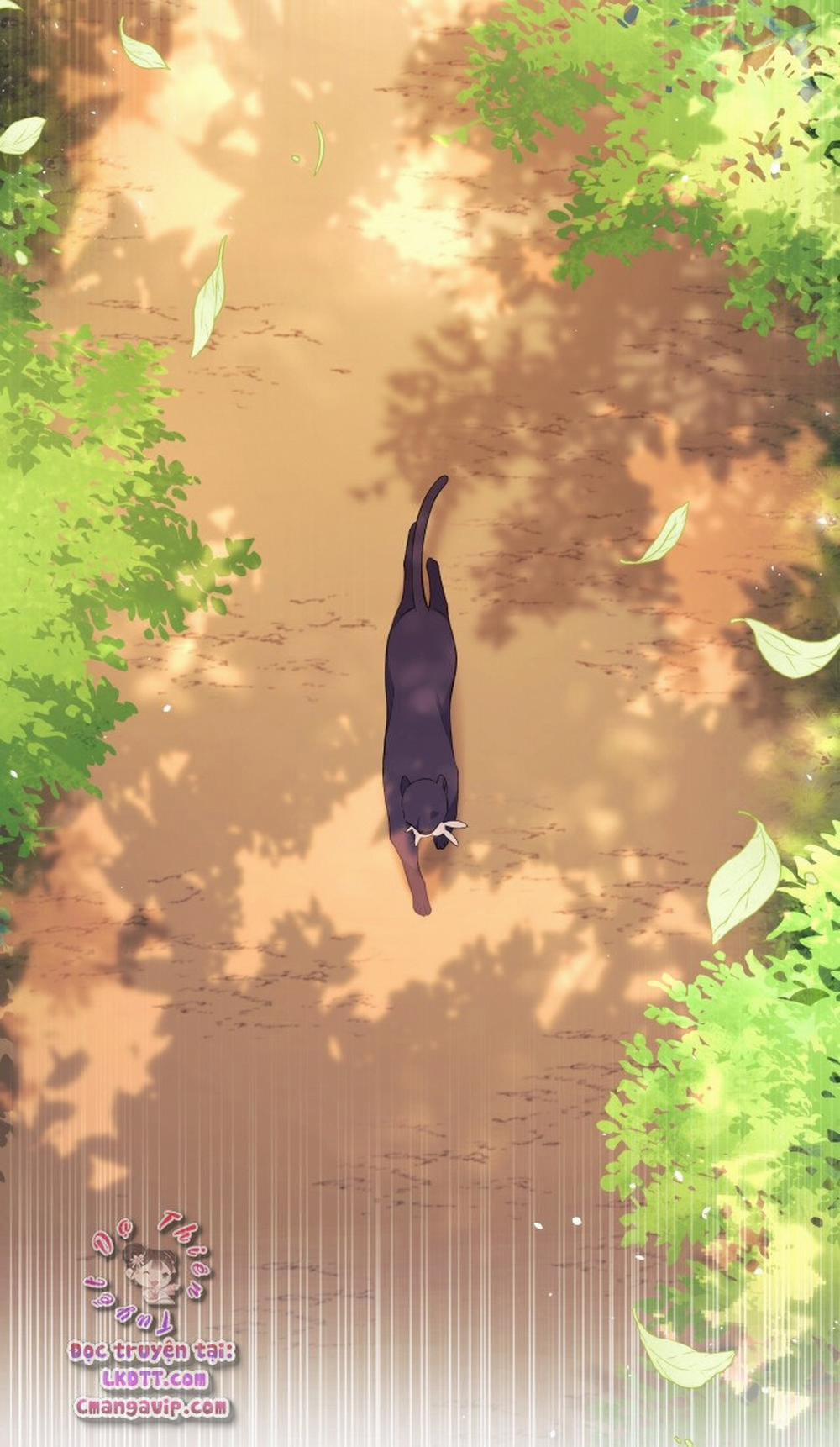 Mối Quan Hệ Cộng Sinh Giữa Báo Đen Và Thỏ Trắng 28 trang 7