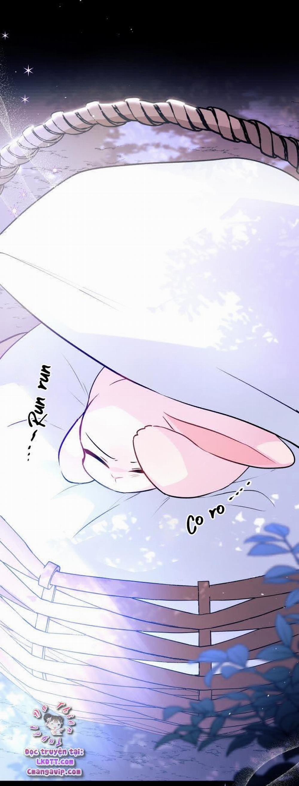 Mối Quan Hệ Cộng Sinh Giữa Báo Đen Và Thỏ Trắng 29 trang 35