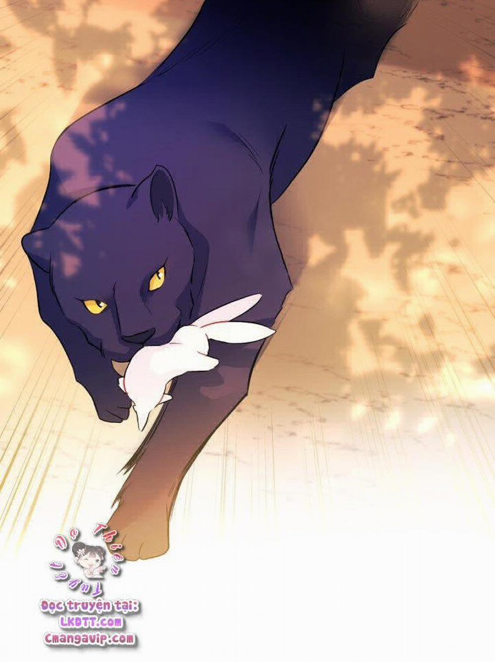 Mối Quan Hệ Cộng Sinh Giữa Báo Đen Và Thỏ Trắng 29 trang 45