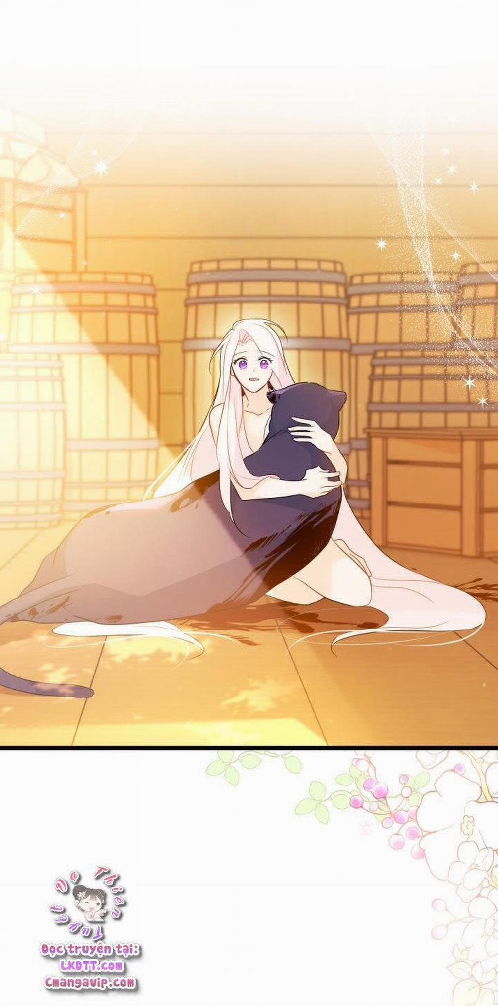 Mối Quan Hệ Cộng Sinh Giữa Báo Đen Và Thỏ Trắng 29 trang 80