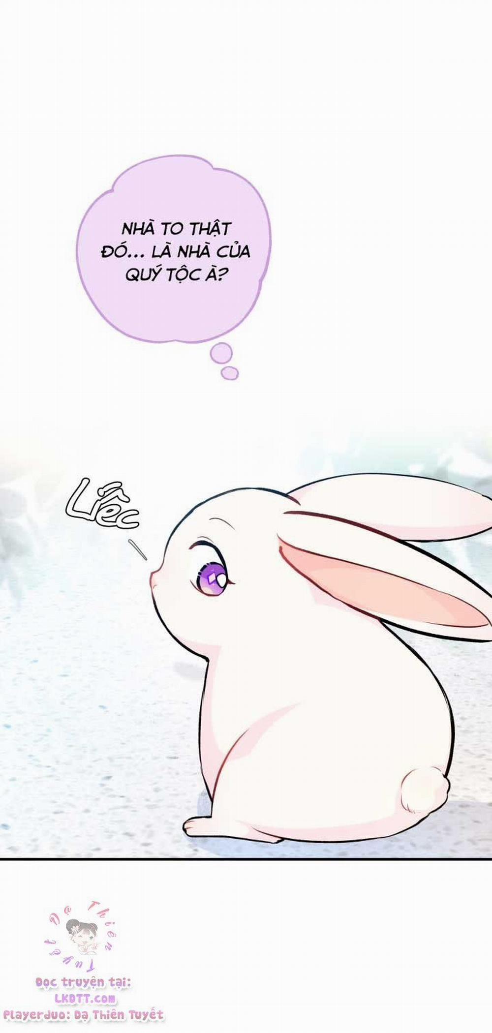 Mối Quan Hệ Cộng Sinh Giữa Báo Đen Và Thỏ Trắng 3 trang 43