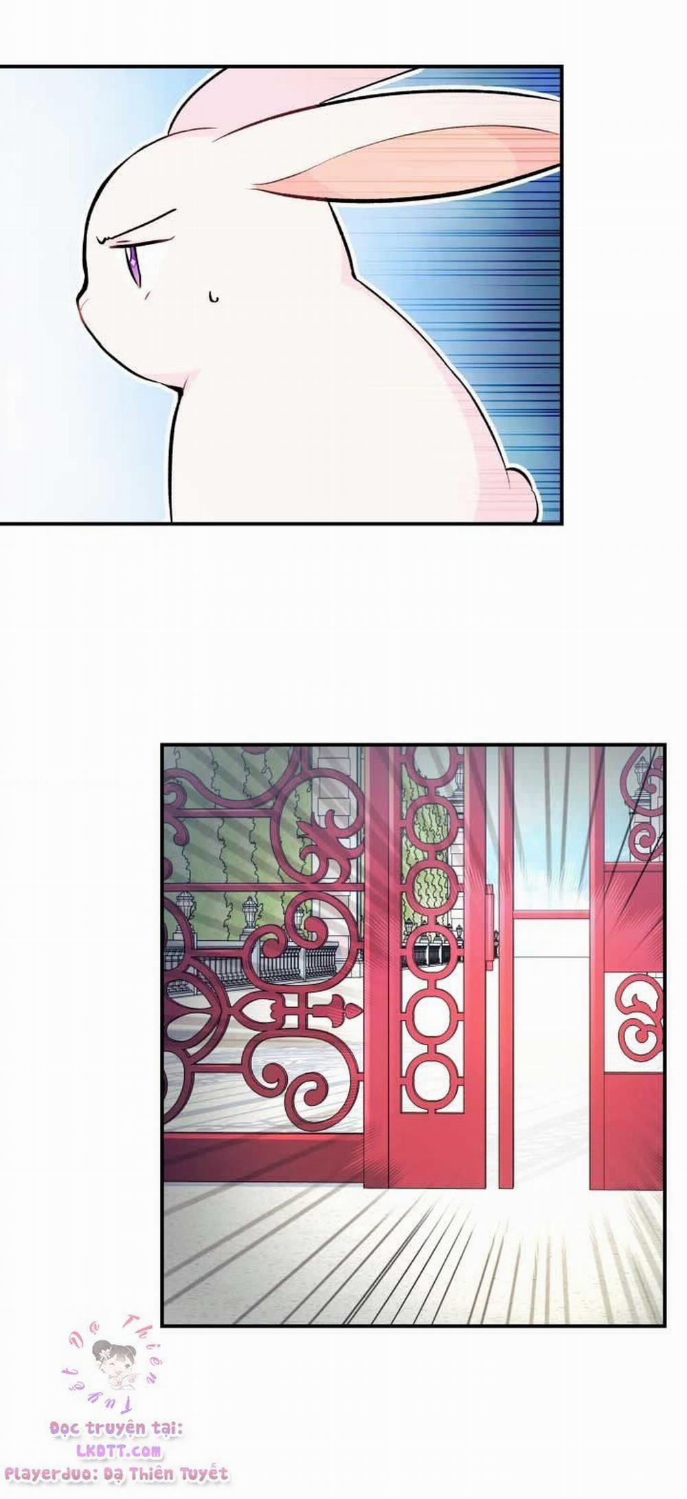 Mối Quan Hệ Cộng Sinh Giữa Báo Đen Và Thỏ Trắng 3 trang 49