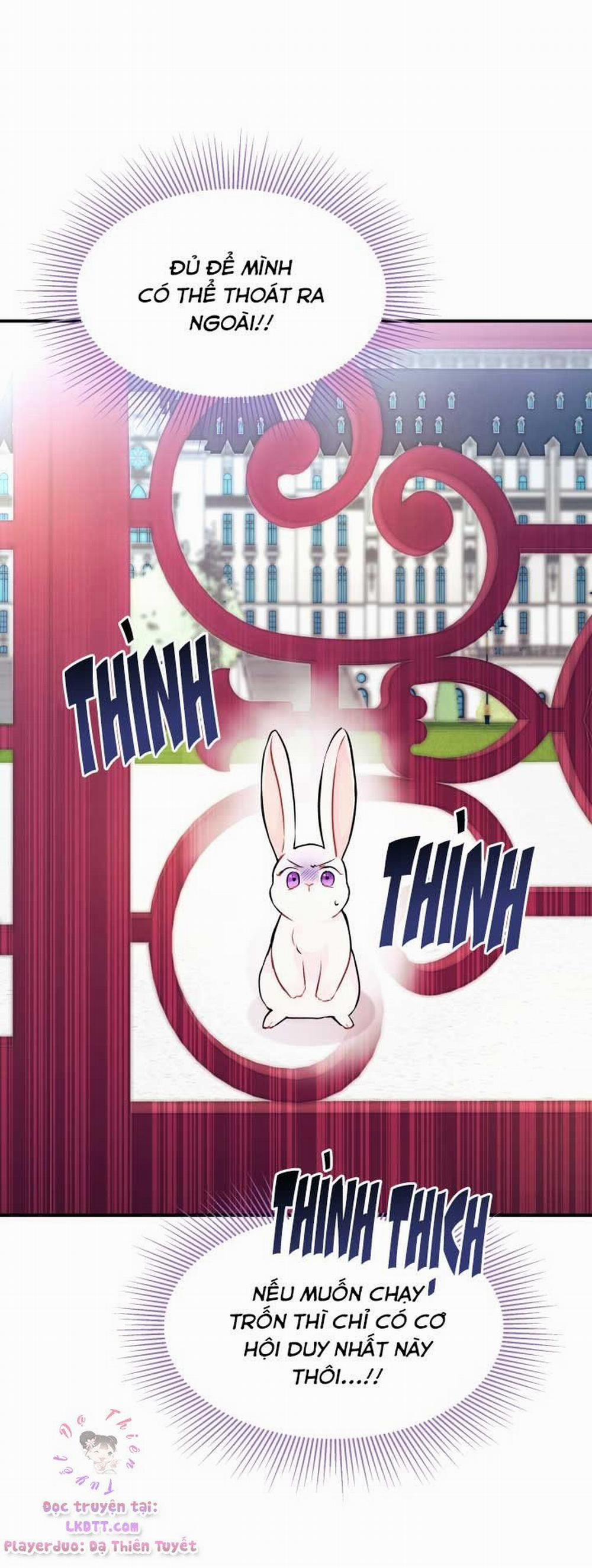 Mối Quan Hệ Cộng Sinh Giữa Báo Đen Và Thỏ Trắng 3 trang 50