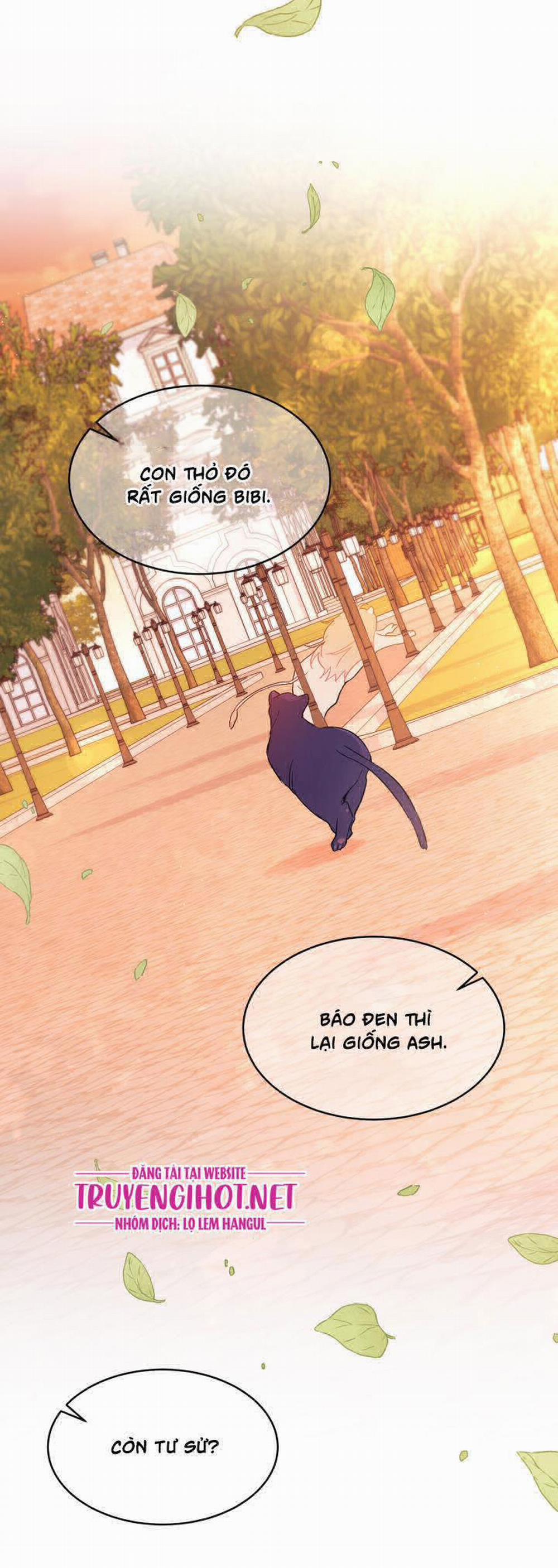 Mối Quan Hệ Cộng Sinh Giữa Báo Đen Và Thỏ Trắng 33.2 trang 22