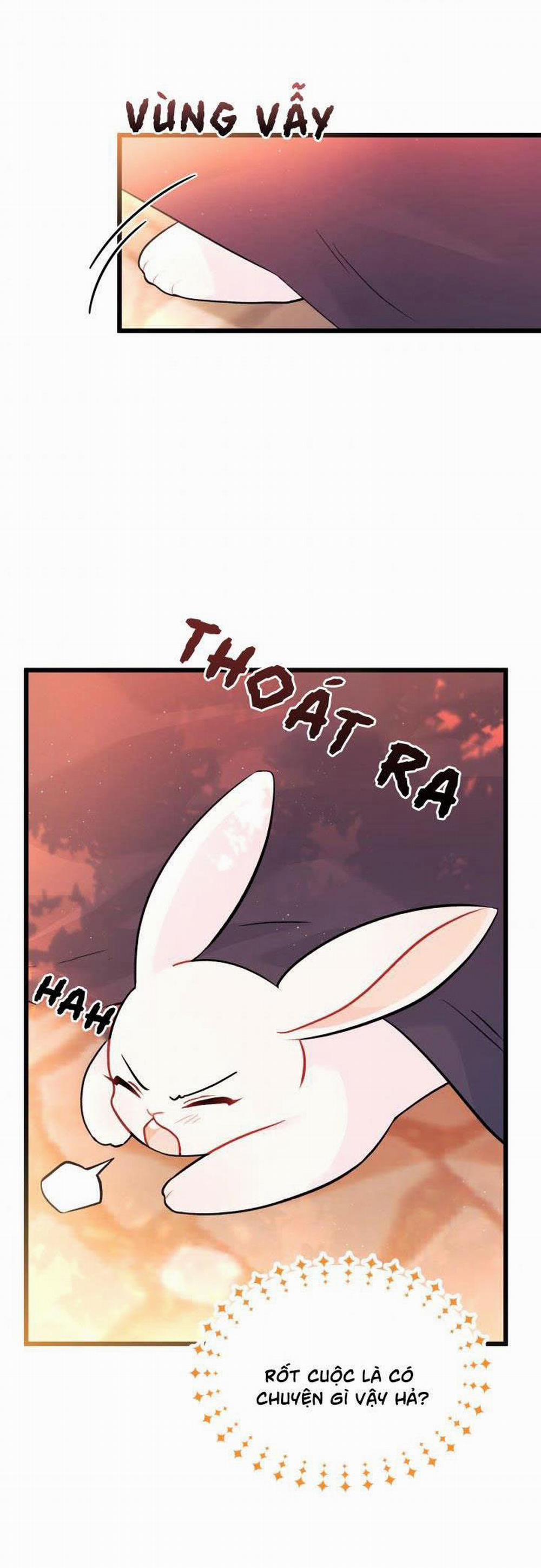 Mối Quan Hệ Cộng Sinh Giữa Báo Đen Và Thỏ Trắng 33.2 trang 3