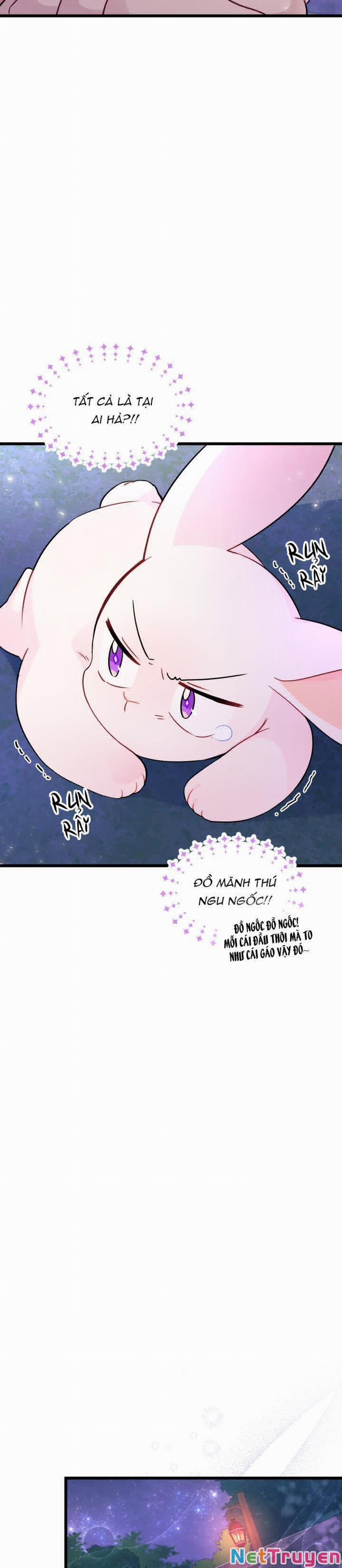 Mối Quan Hệ Cộng Sinh Giữa Báo Đen Và Thỏ Trắng 34 trang 18