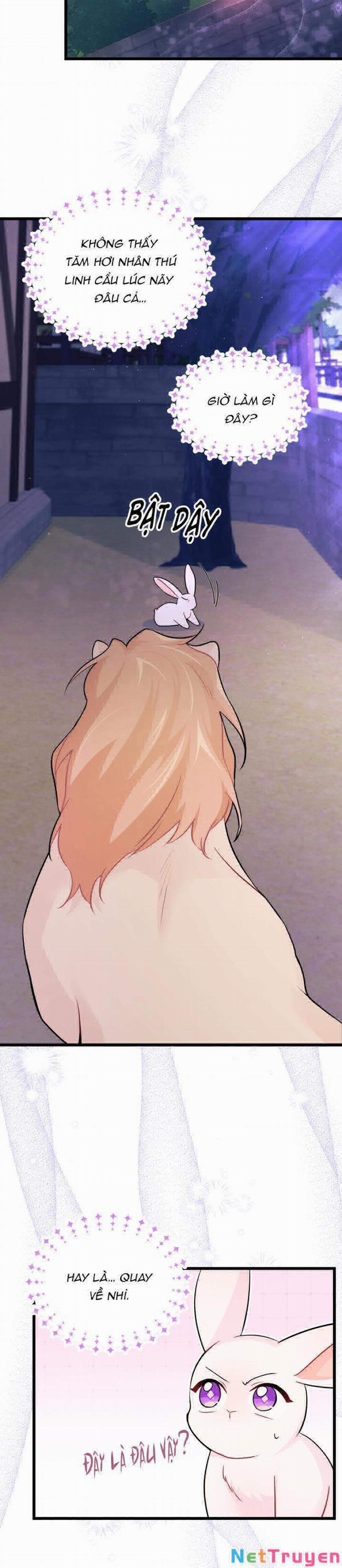 Mối Quan Hệ Cộng Sinh Giữa Báo Đen Và Thỏ Trắng 34 trang 19