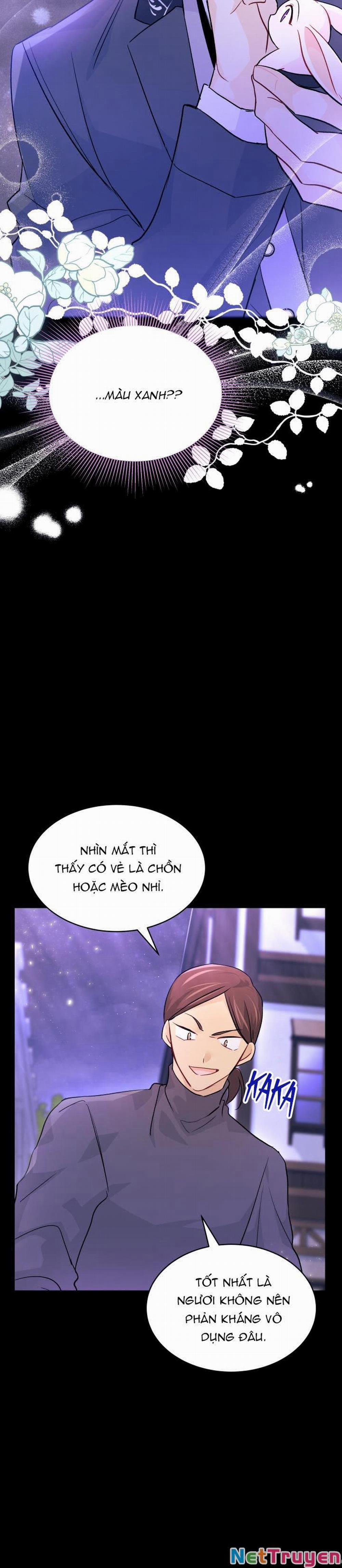 Mối Quan Hệ Cộng Sinh Giữa Báo Đen Và Thỏ Trắng 34 trang 36