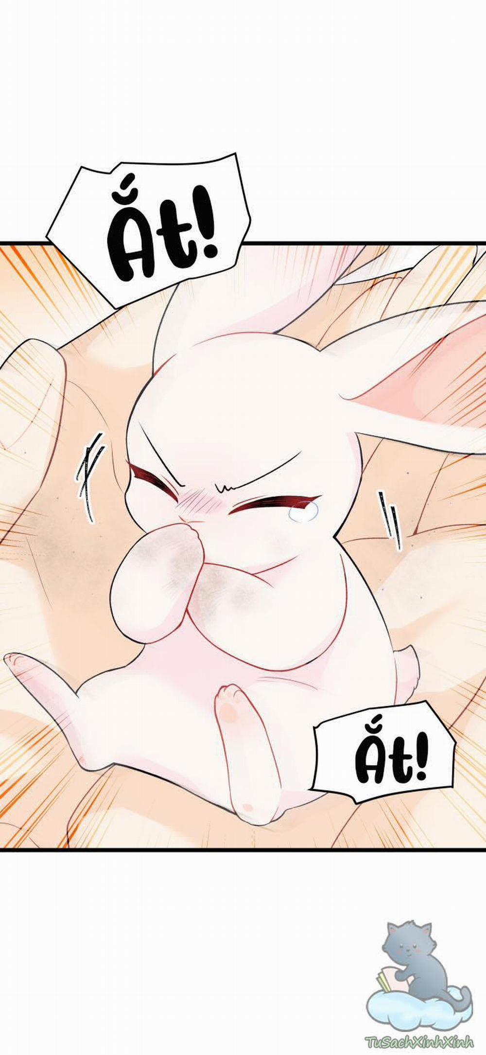 Mối Quan Hệ Cộng Sinh Giữa Báo Đen Và Thỏ Trắng 35.5 trang 1