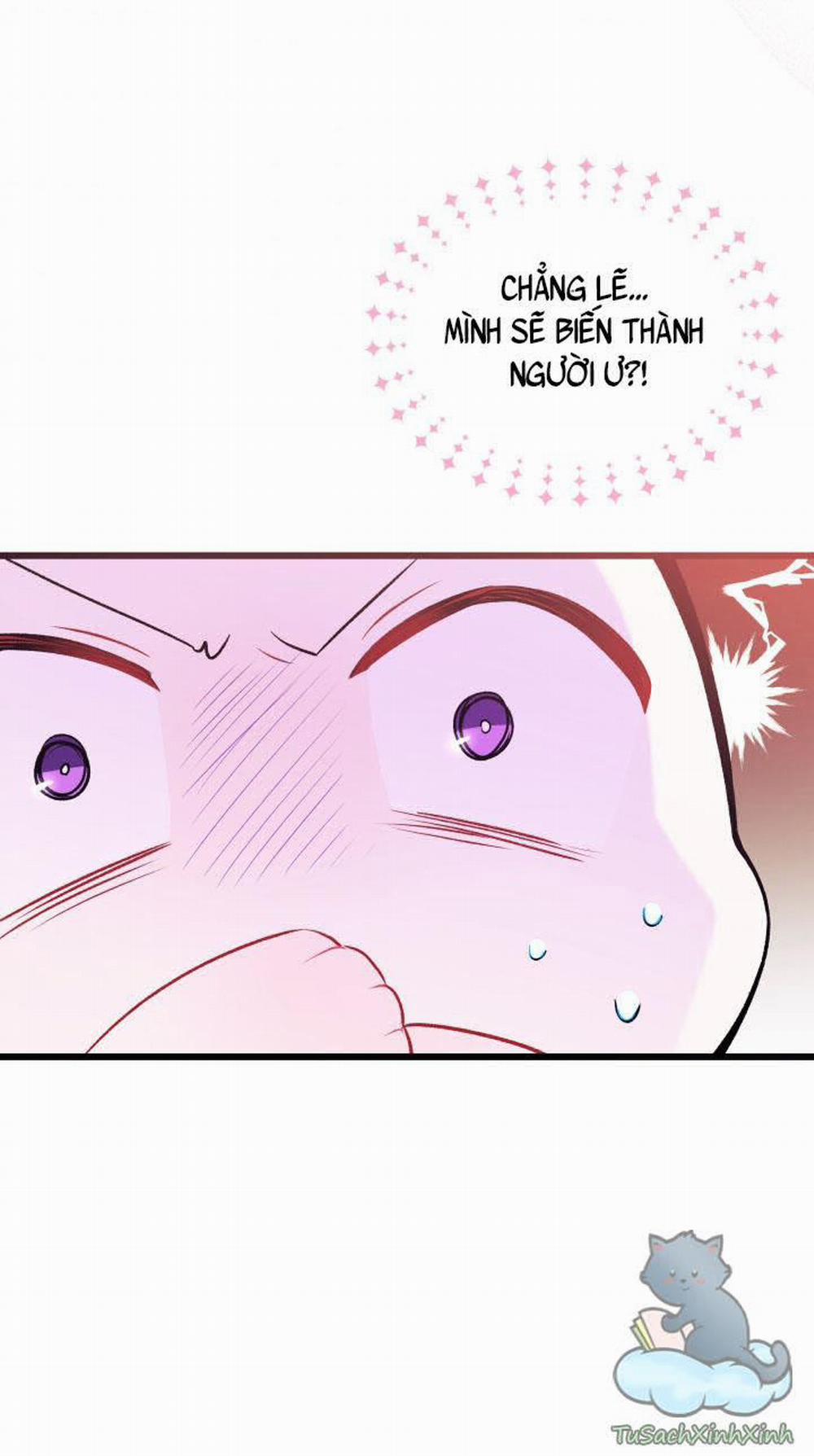 Mối Quan Hệ Cộng Sinh Giữa Báo Đen Và Thỏ Trắng 35.5 trang 10