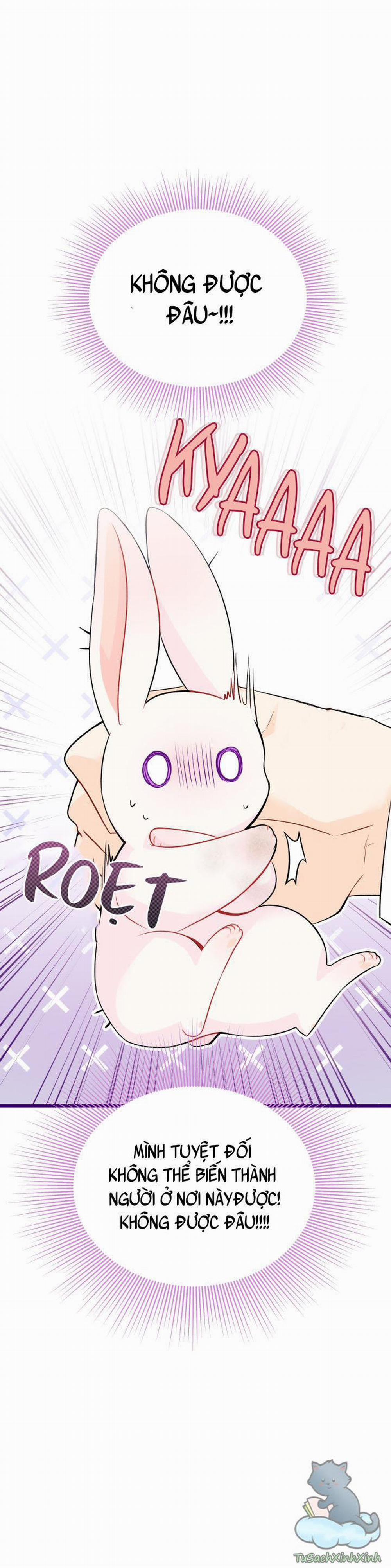 Mối Quan Hệ Cộng Sinh Giữa Báo Đen Và Thỏ Trắng 35.5 trang 11