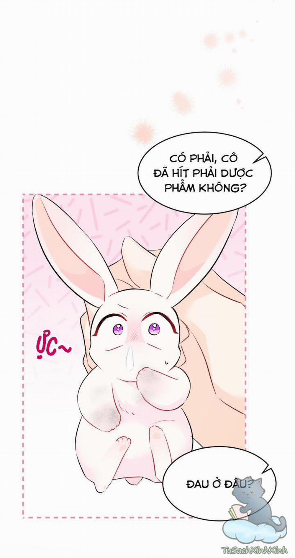 Mối Quan Hệ Cộng Sinh Giữa Báo Đen Và Thỏ Trắng 35.5 trang 6