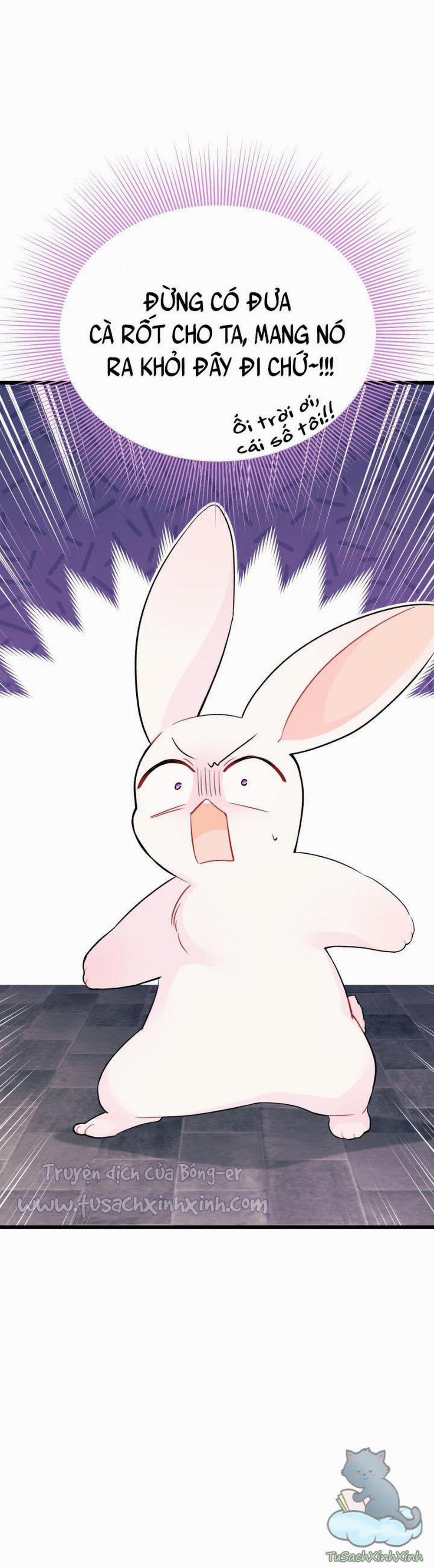 Mối Quan Hệ Cộng Sinh Giữa Báo Đen Và Thỏ Trắng 35 trang 10