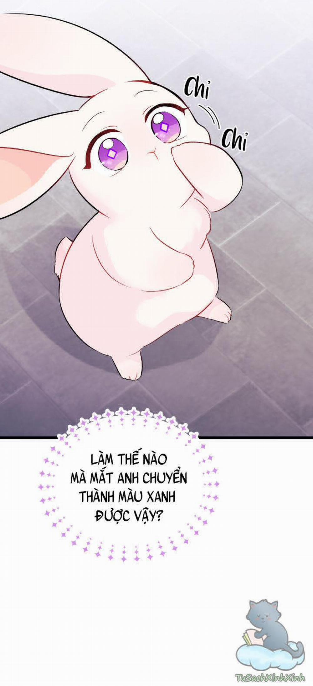 Mối Quan Hệ Cộng Sinh Giữa Báo Đen Và Thỏ Trắng 35 trang 19