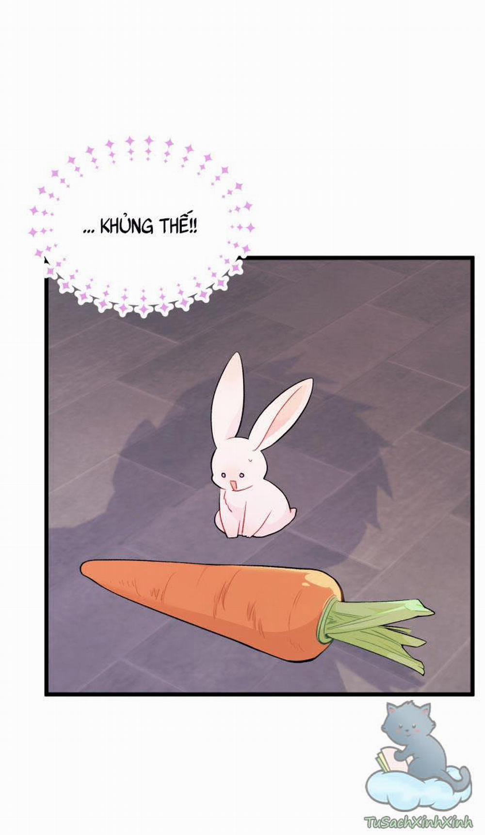 Mối Quan Hệ Cộng Sinh Giữa Báo Đen Và Thỏ Trắng 35 trang 4