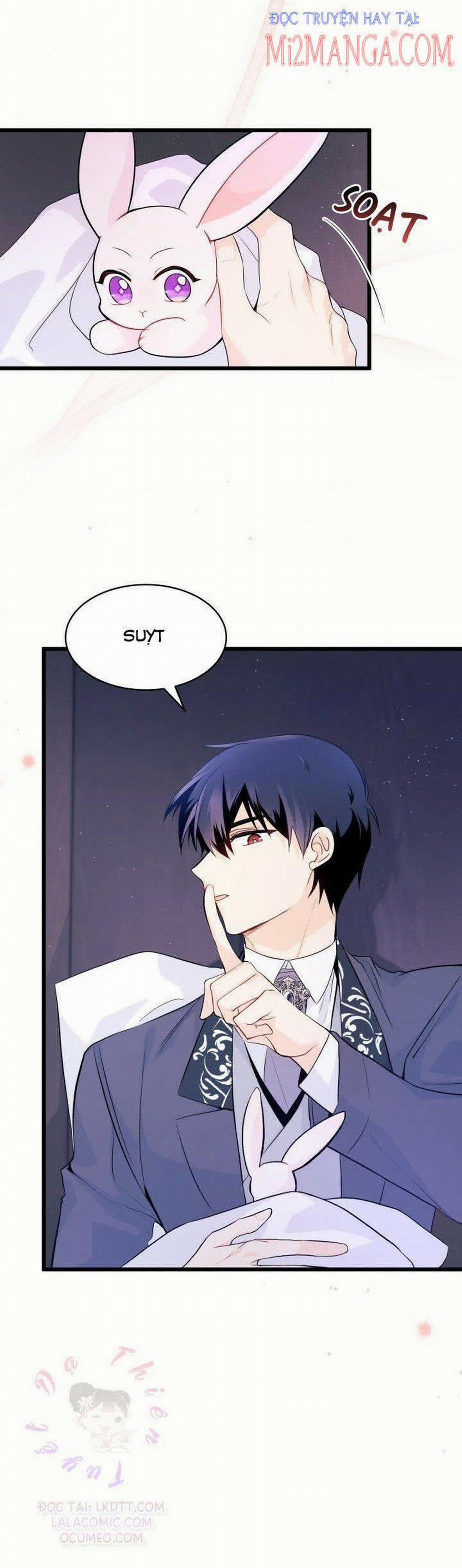 Mối Quan Hệ Cộng Sinh Giữa Báo Đen Và Thỏ Trắng 36.5 trang 1