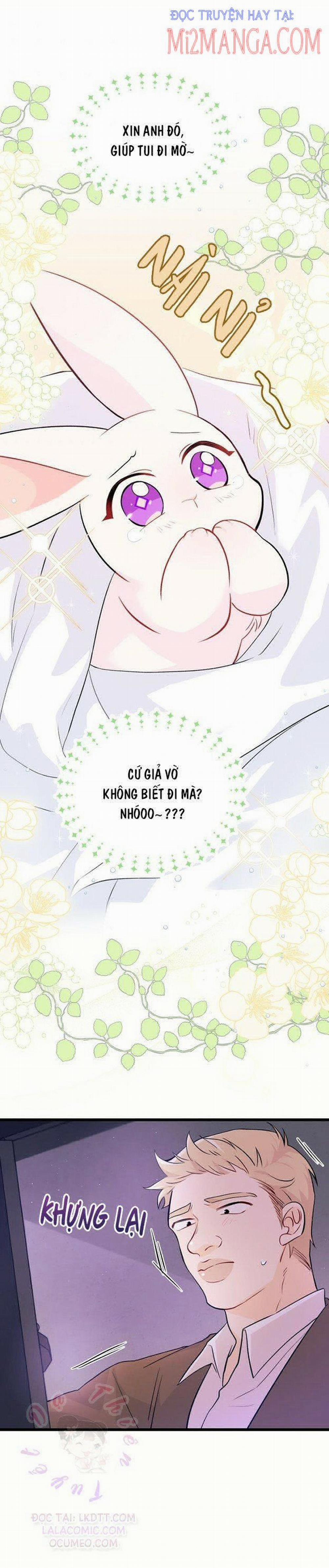 Mối Quan Hệ Cộng Sinh Giữa Báo Đen Và Thỏ Trắng 36.5 trang 12