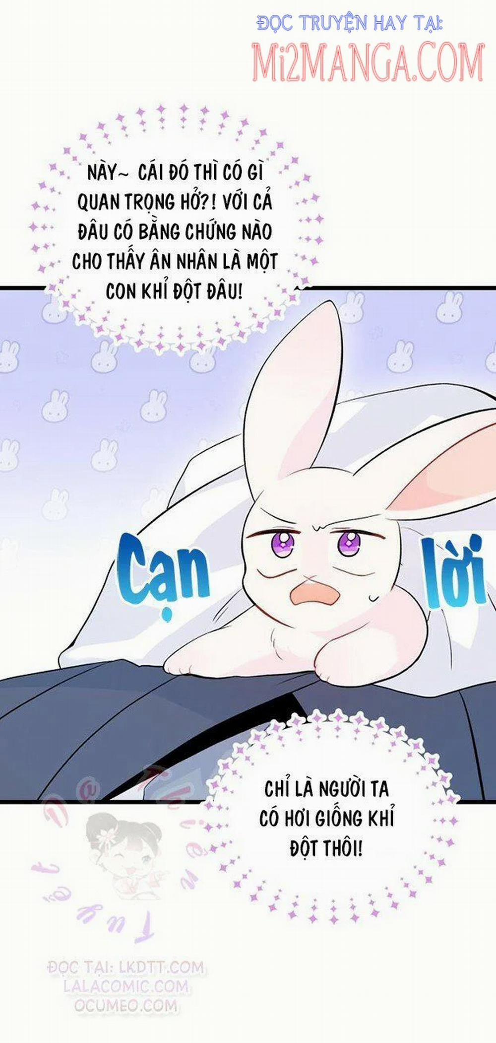 Mối Quan Hệ Cộng Sinh Giữa Báo Đen Và Thỏ Trắng 36.5 trang 17