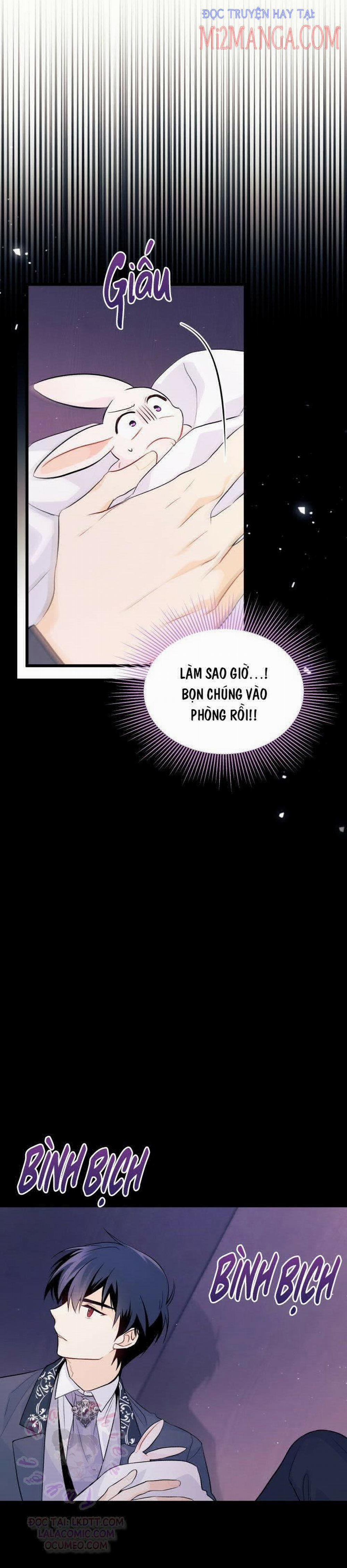 Mối Quan Hệ Cộng Sinh Giữa Báo Đen Và Thỏ Trắng 36.5 trang 4