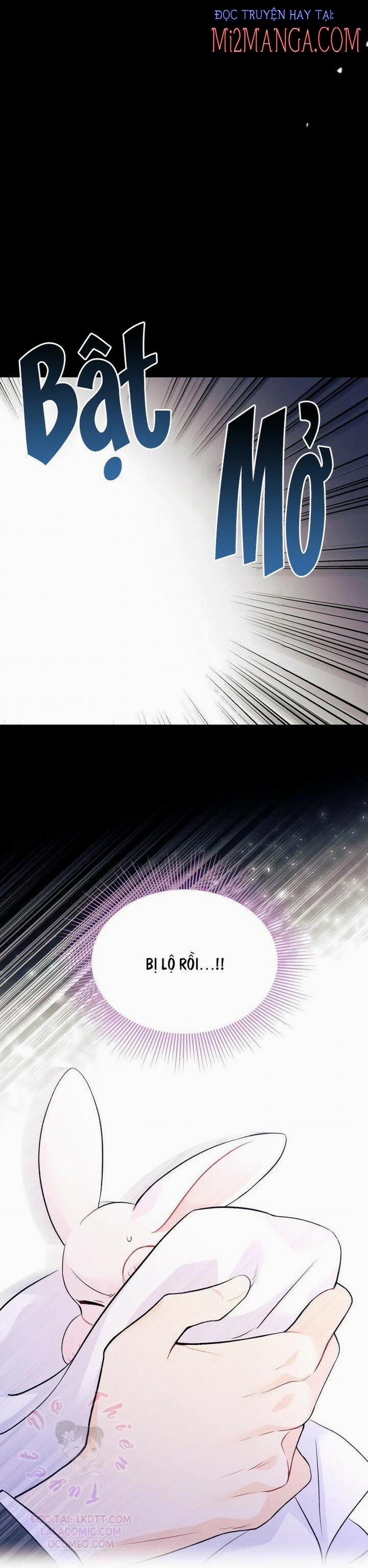 Mối Quan Hệ Cộng Sinh Giữa Báo Đen Và Thỏ Trắng 36.5 trang 6