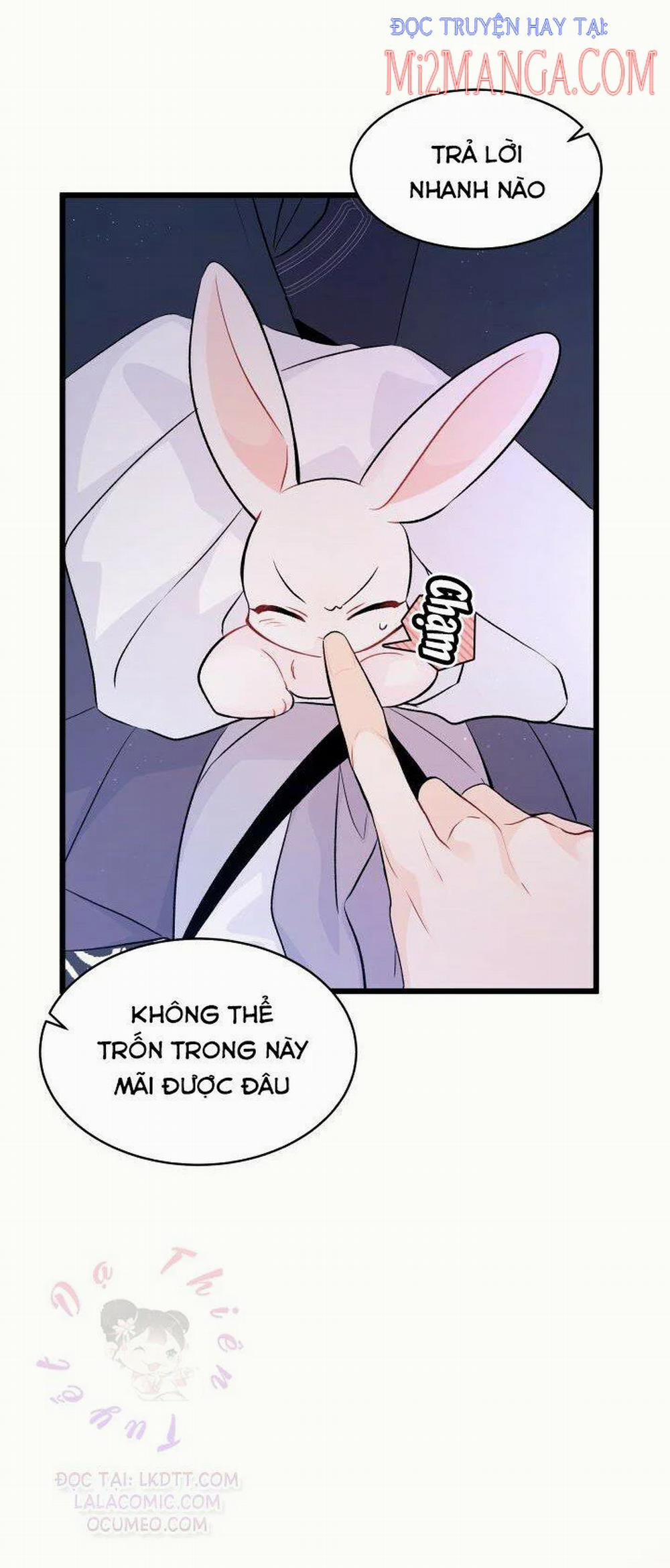 Mối Quan Hệ Cộng Sinh Giữa Báo Đen Và Thỏ Trắng 36 trang 26