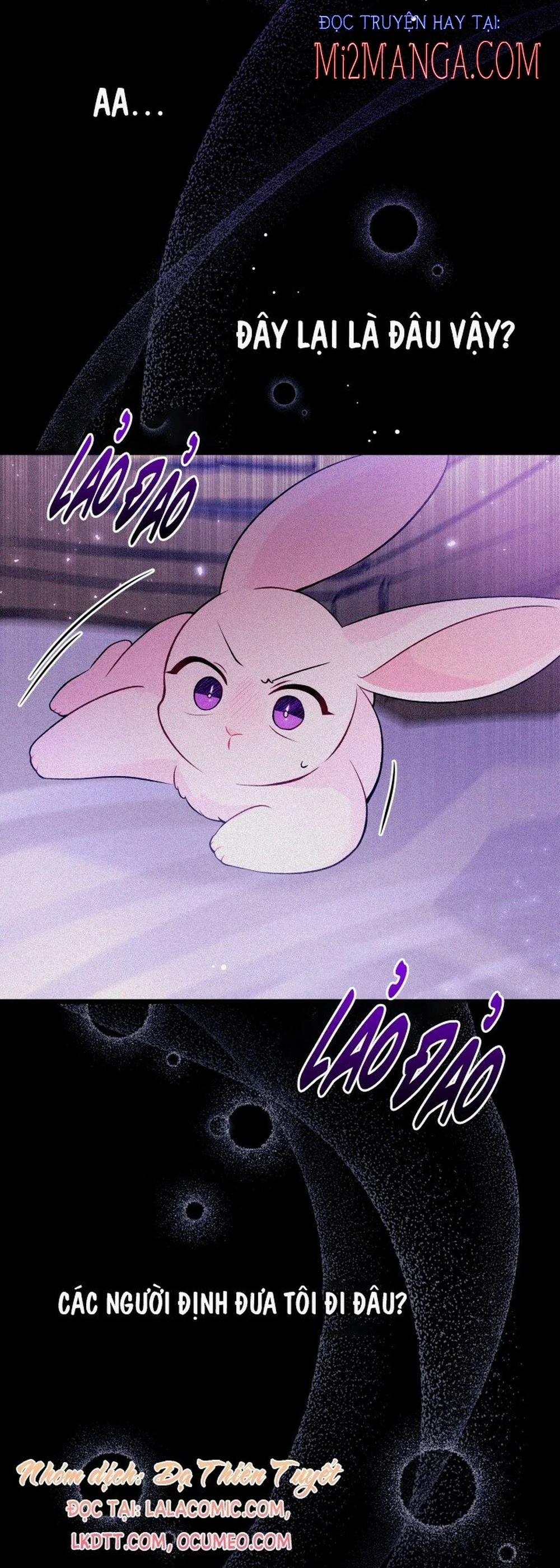 Mối Quan Hệ Cộng Sinh Giữa Báo Đen Và Thỏ Trắng 39 trang 10