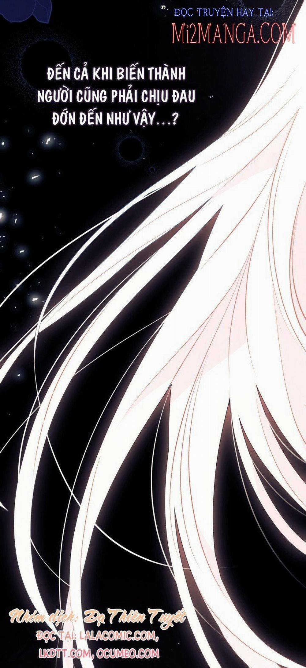 Mối Quan Hệ Cộng Sinh Giữa Báo Đen Và Thỏ Trắng 39 trang 17