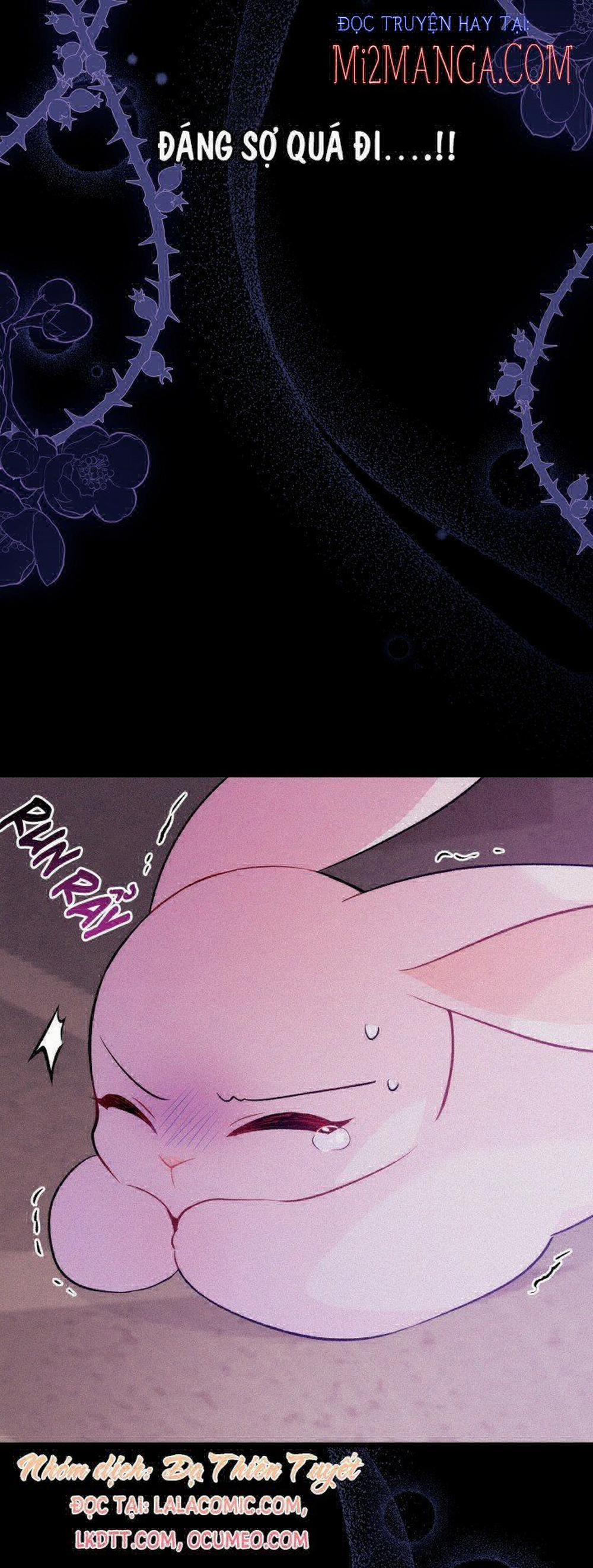 Mối Quan Hệ Cộng Sinh Giữa Báo Đen Và Thỏ Trắng 39 trang 8