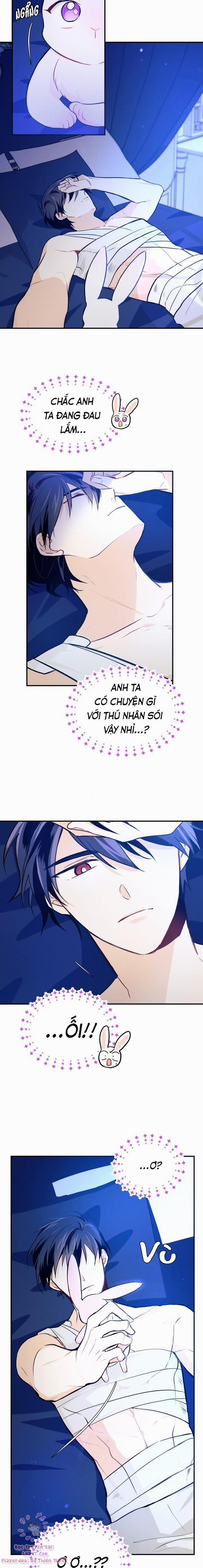 Mối Quan Hệ Cộng Sinh Giữa Báo Đen Và Thỏ Trắng 4 trang 16