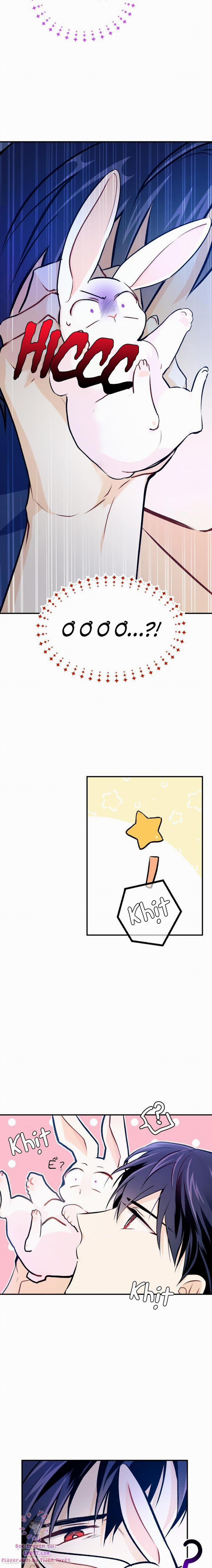 Mối Quan Hệ Cộng Sinh Giữa Báo Đen Và Thỏ Trắng 4 trang 17