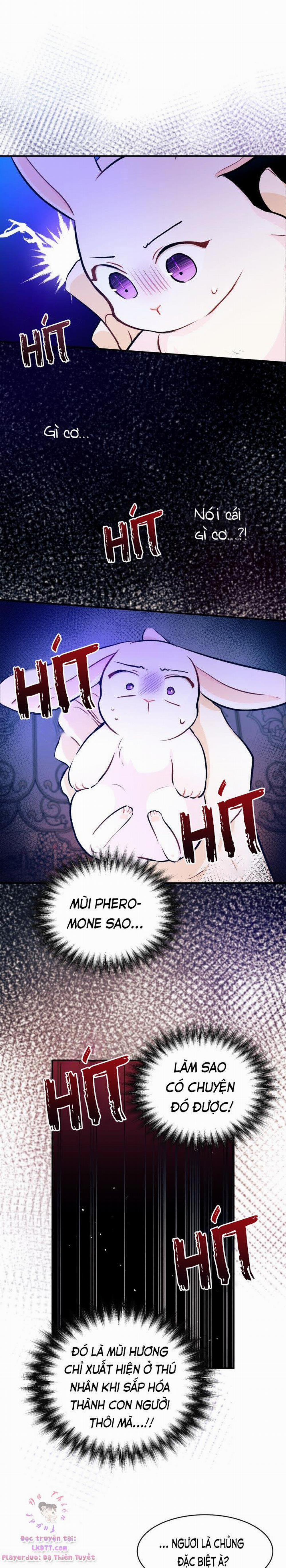 Mối Quan Hệ Cộng Sinh Giữa Báo Đen Và Thỏ Trắng 4 trang 19