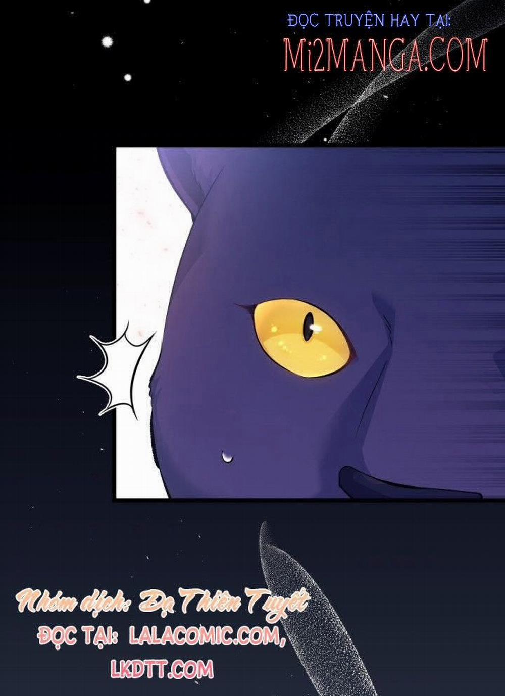 Mối Quan Hệ Cộng Sinh Giữa Báo Đen Và Thỏ Trắng 40.5 trang 36