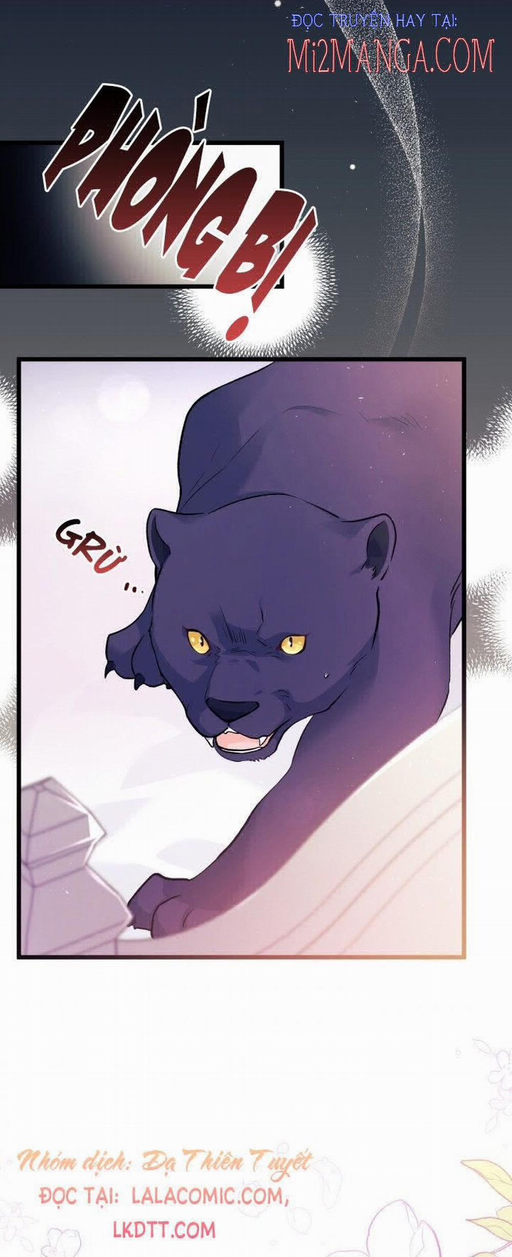 Mối Quan Hệ Cộng Sinh Giữa Báo Đen Và Thỏ Trắng 40.5 trang 37