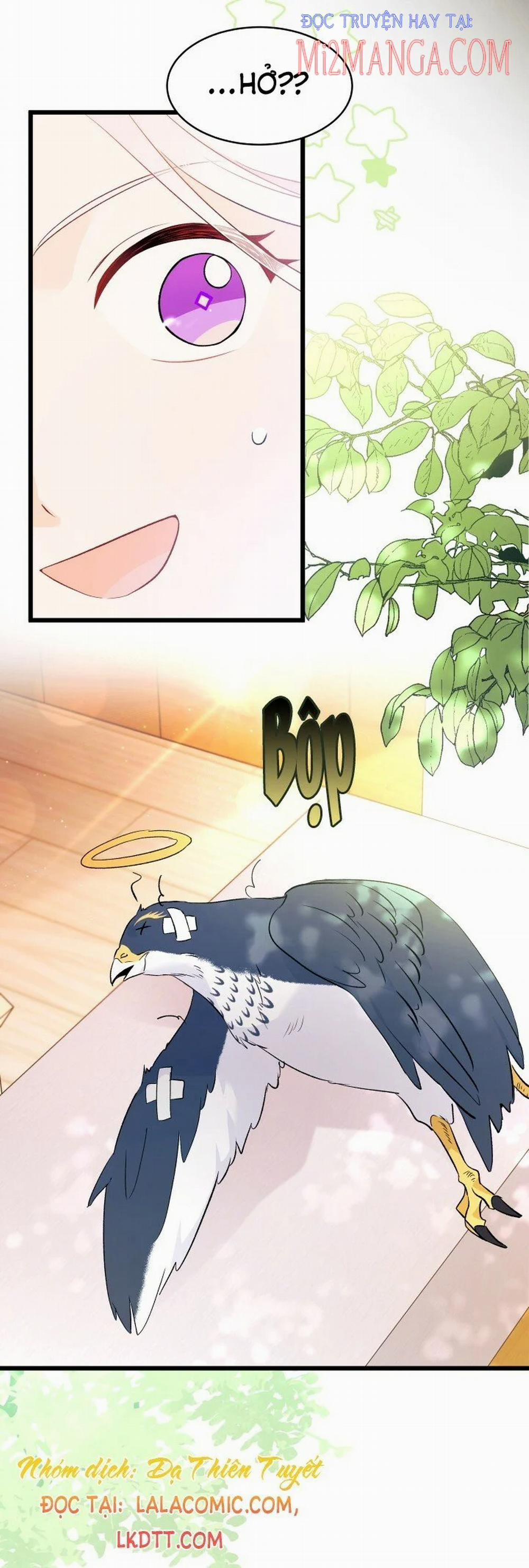 Mối Quan Hệ Cộng Sinh Giữa Báo Đen Và Thỏ Trắng 41.5 trang 13