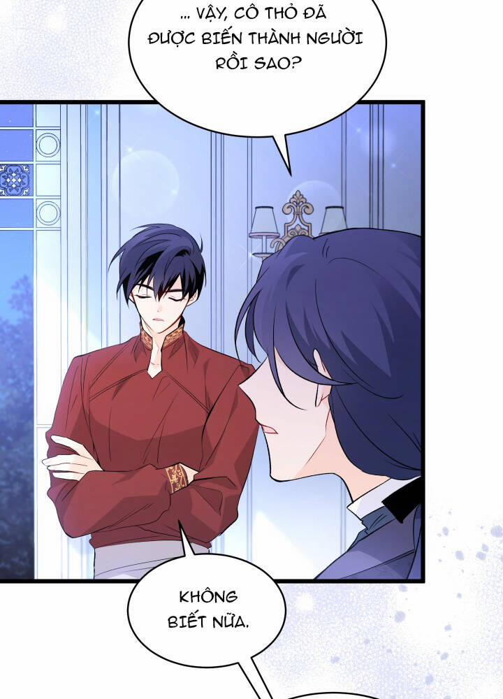 Mối Quan Hệ Cộng Sinh Giữa Báo Đen Và Thỏ Trắng 46 trang 27