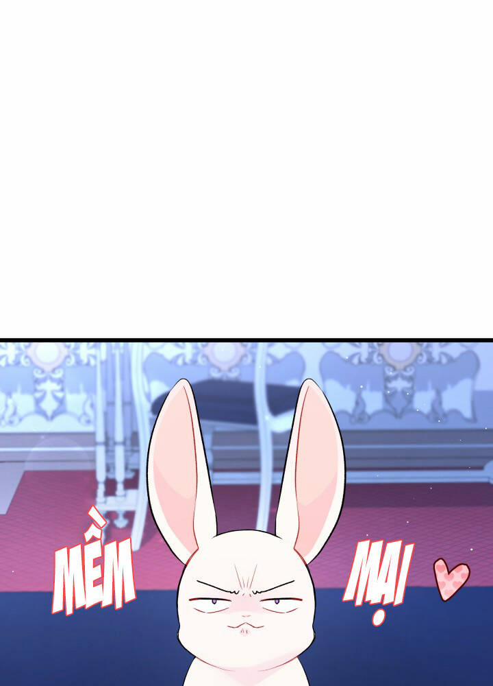 Mối Quan Hệ Cộng Sinh Giữa Báo Đen Và Thỏ Trắng 46 trang 59