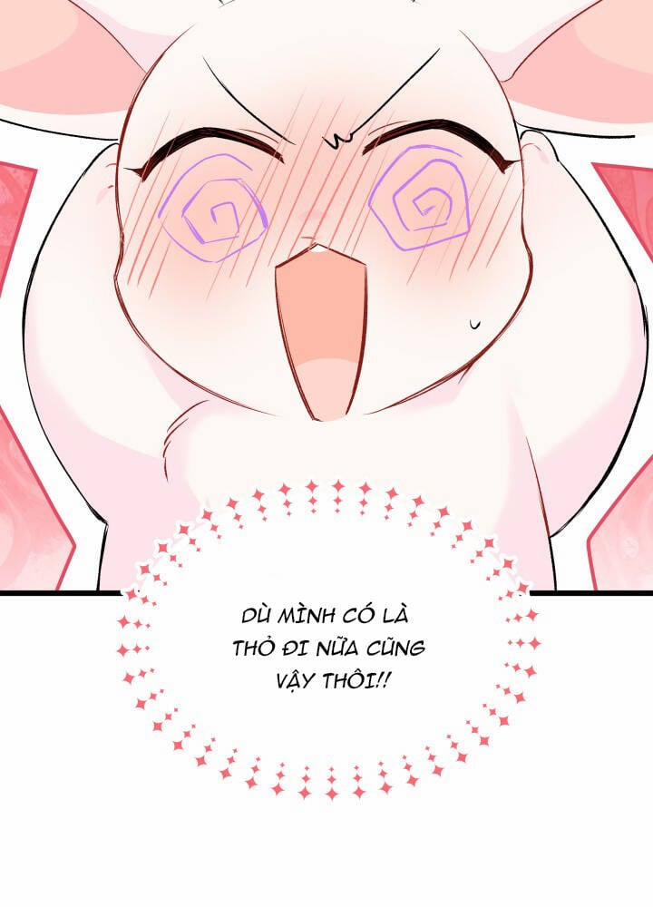 Mối Quan Hệ Cộng Sinh Giữa Báo Đen Và Thỏ Trắng 46 trang 71