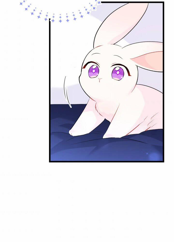 Mối Quan Hệ Cộng Sinh Giữa Báo Đen Và Thỏ Trắng 46 trang 82