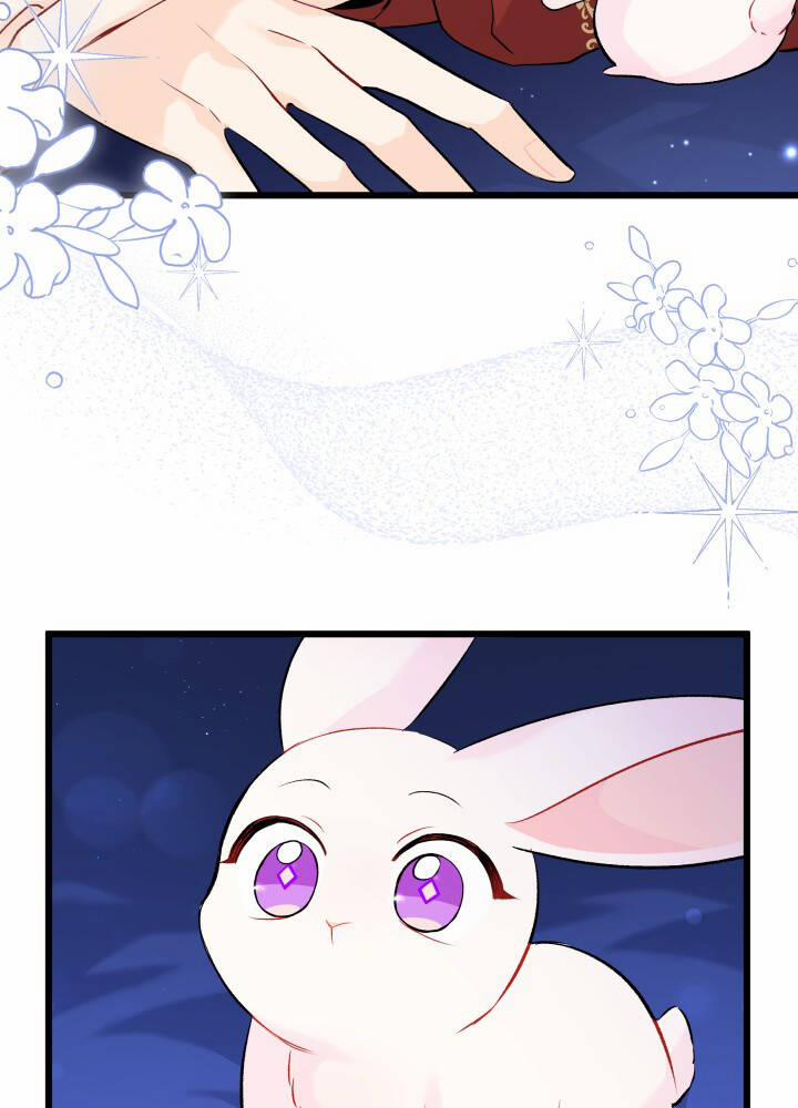 Mối Quan Hệ Cộng Sinh Giữa Báo Đen Và Thỏ Trắng 46 trang 85