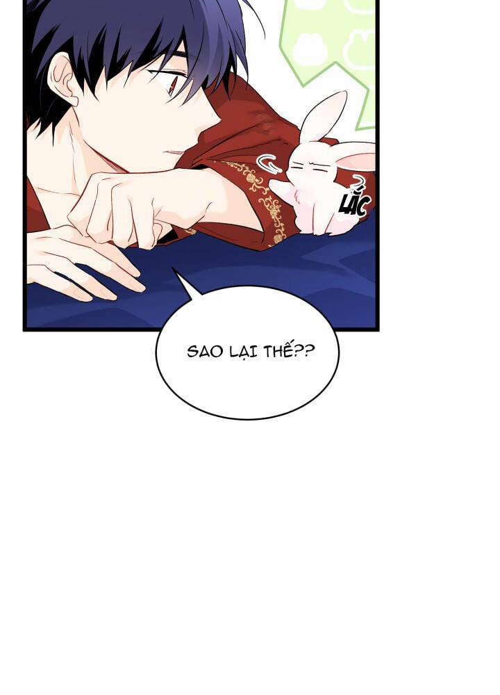 Mối Quan Hệ Cộng Sinh Giữa Báo Đen Và Thỏ Trắng 46 trang 87