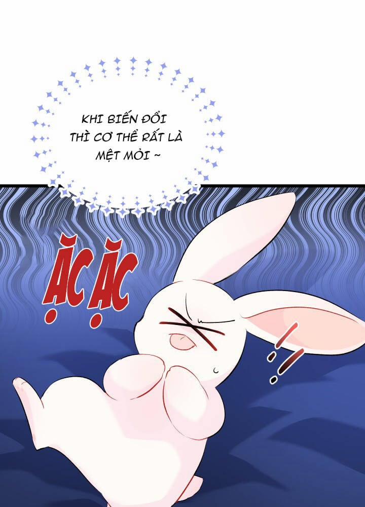 Mối Quan Hệ Cộng Sinh Giữa Báo Đen Và Thỏ Trắng 46 trang 88