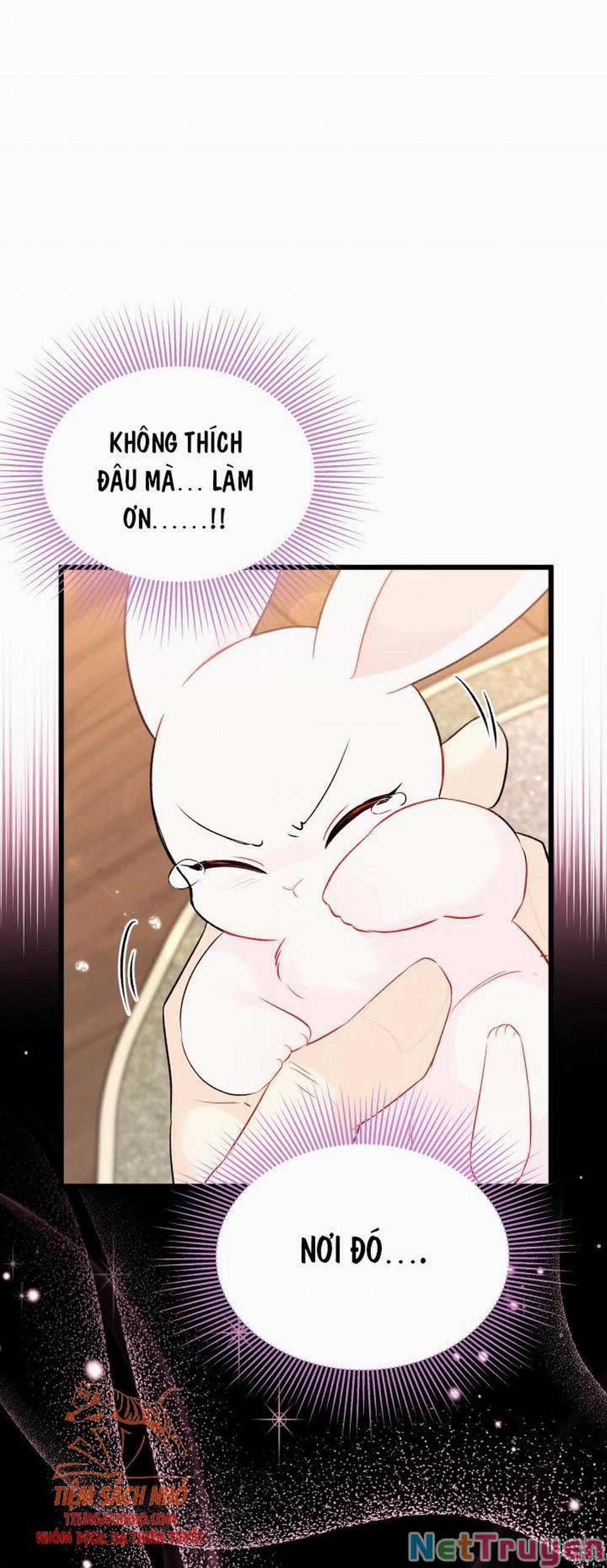 Mối Quan Hệ Cộng Sinh Giữa Báo Đen Và Thỏ Trắng 48 trang 55