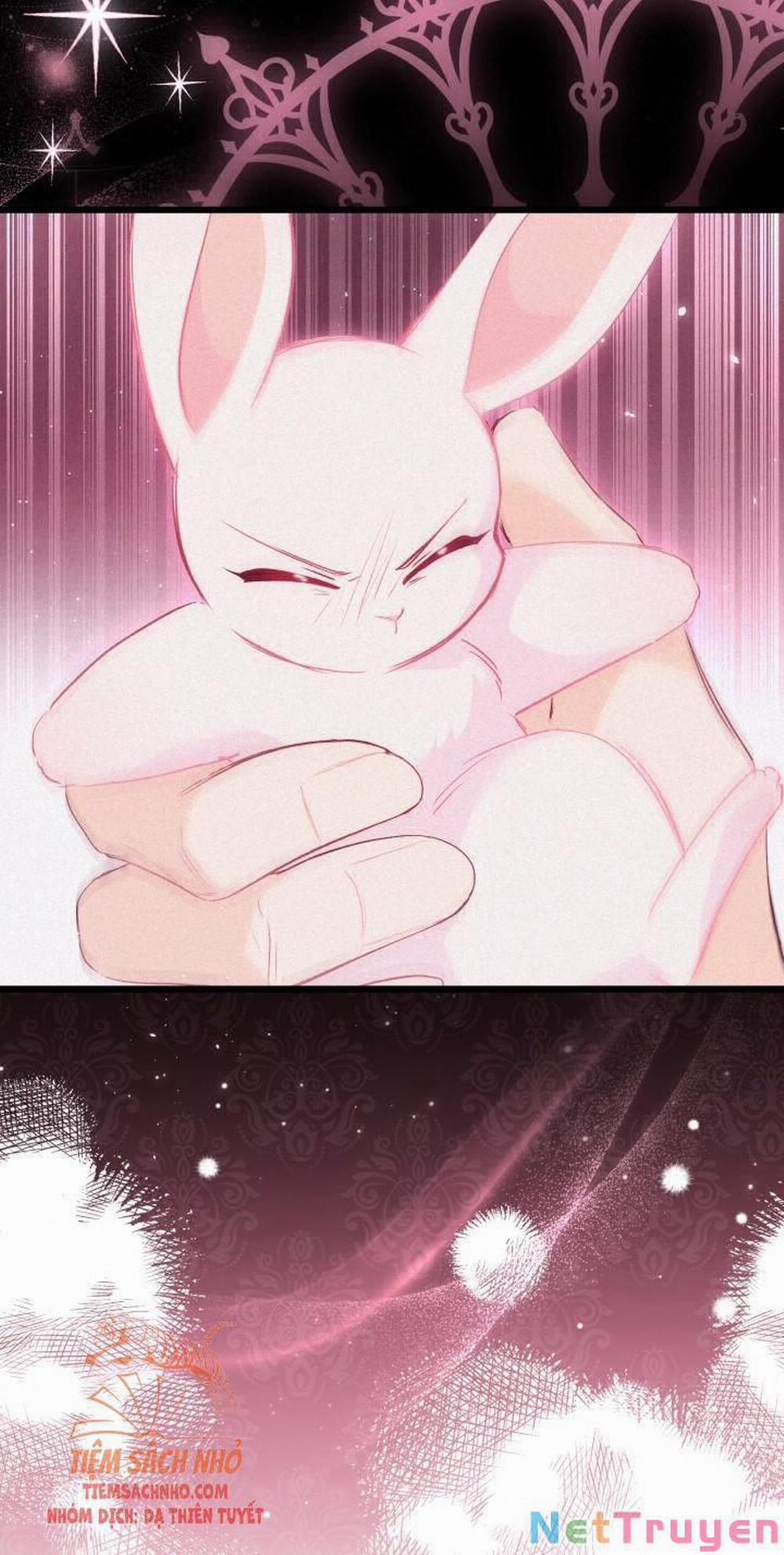 Mối Quan Hệ Cộng Sinh Giữa Báo Đen Và Thỏ Trắng 49 trang 63