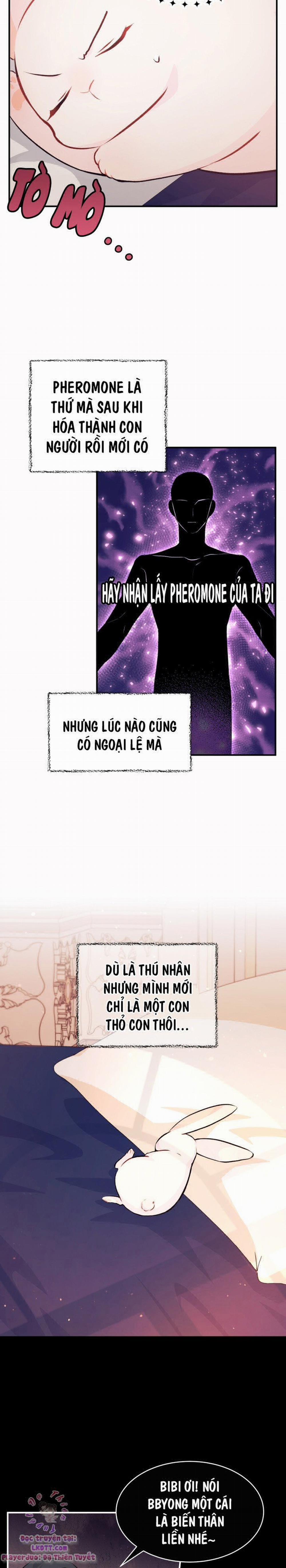 Mối Quan Hệ Cộng Sinh Giữa Báo Đen Và Thỏ Trắng 5 trang 15