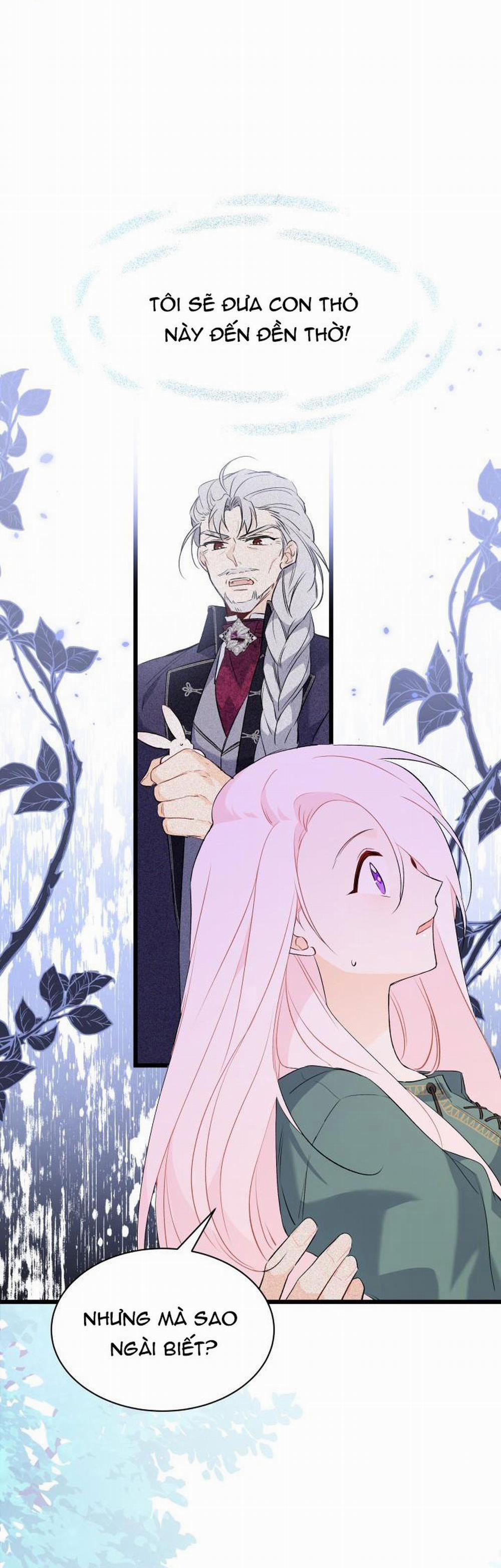 Mối Quan Hệ Cộng Sinh Giữa Báo Đen Và Thỏ Trắng 51 trang 4